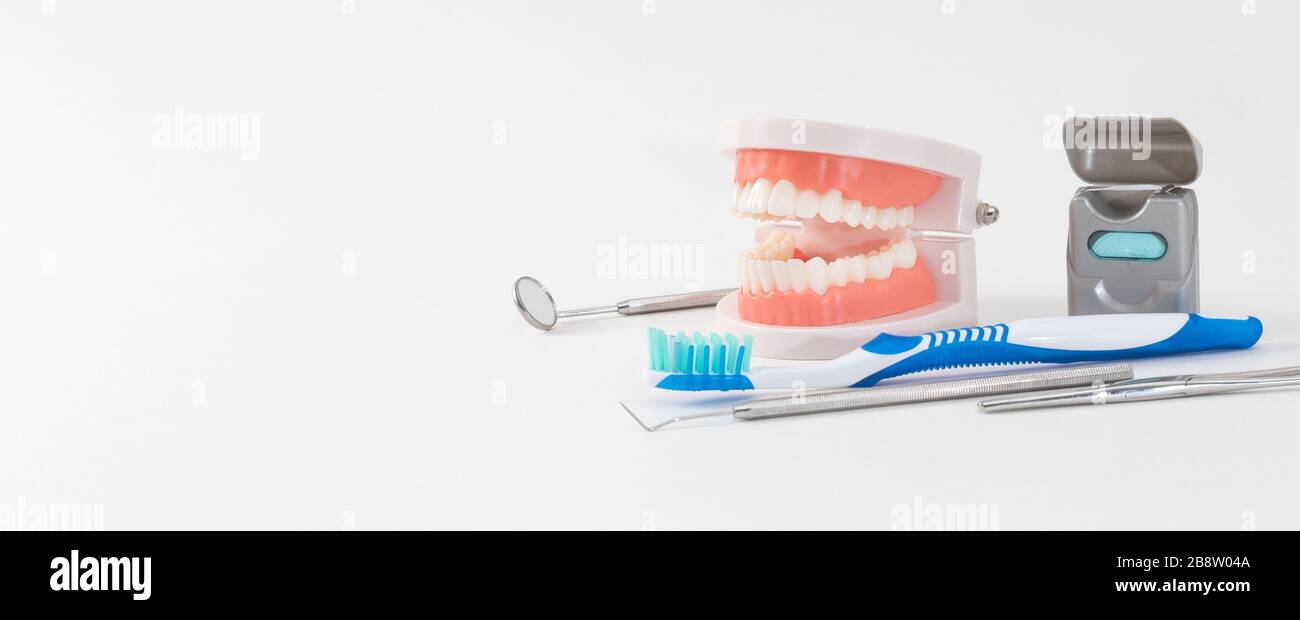 Cura dentale, utensili e mascella isolati. Sfondo banner Web con spazio di copia Foto Stock