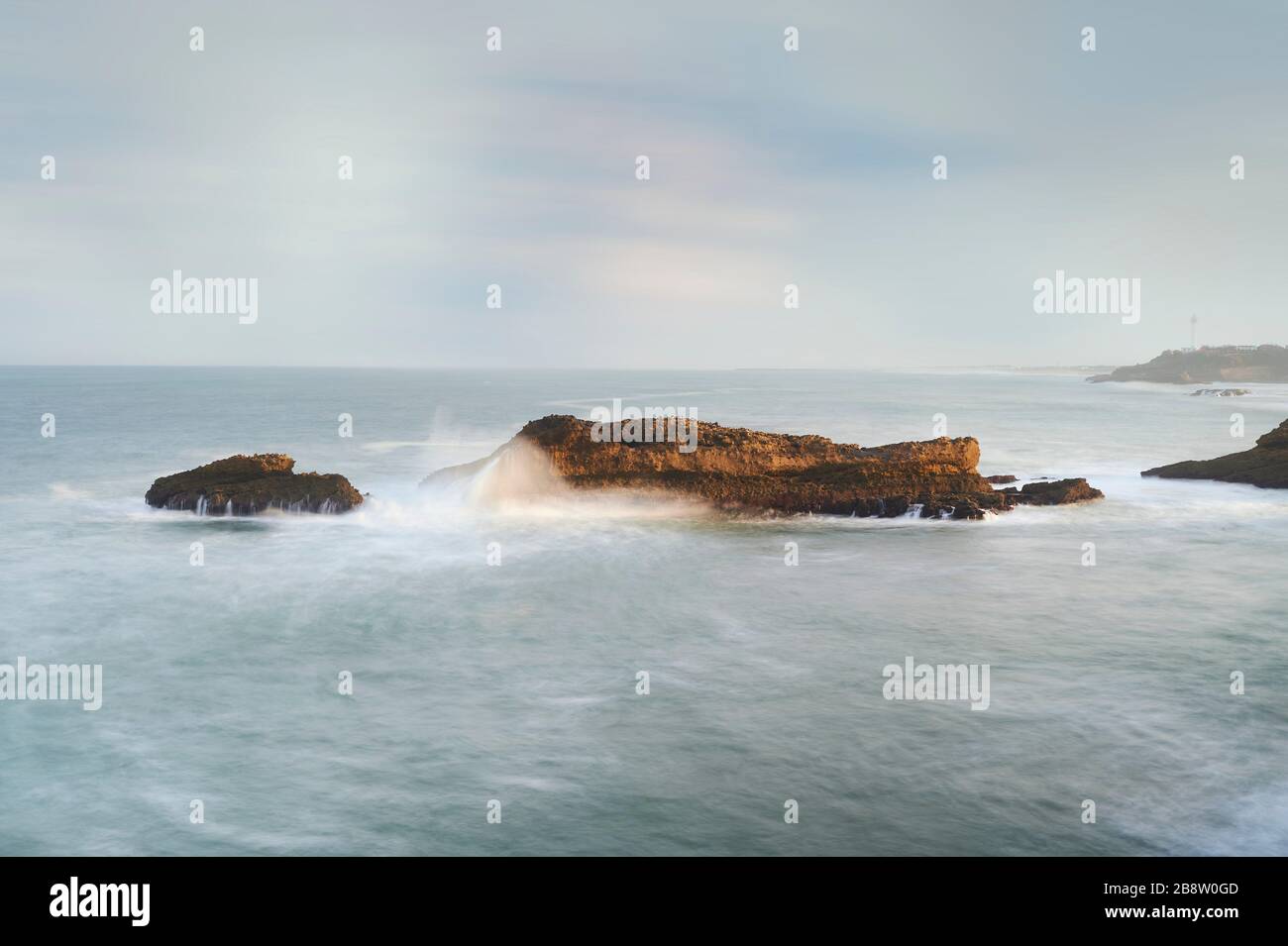 Pirene atlantiche immagini e fotografie stock ad alta risoluzione Alamy