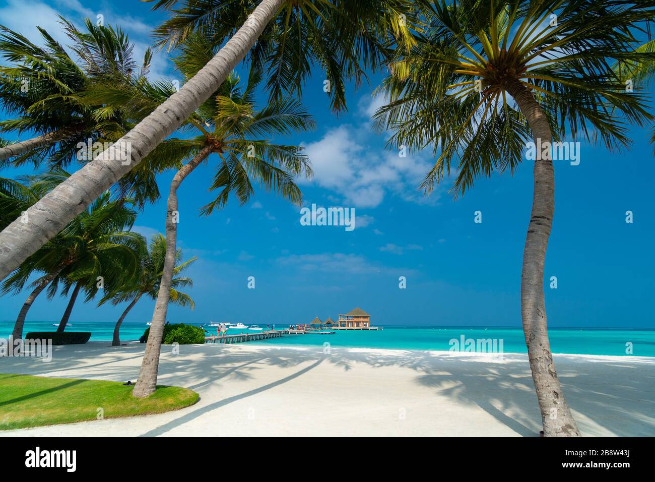 Spiaggia di sabbia di isola tropicale nelle Maldive Foto Stock