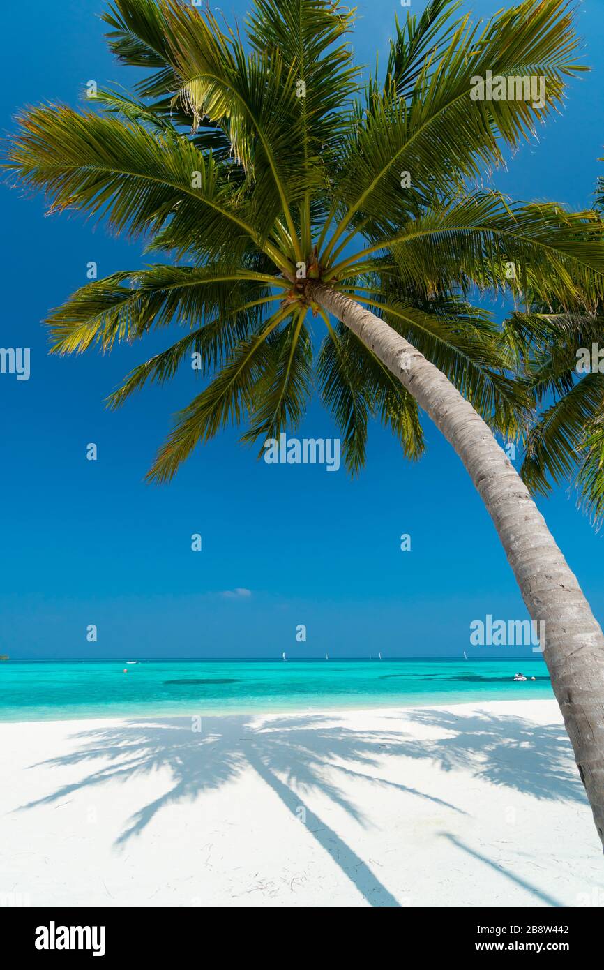 Spiaggia di sabbia di isola tropicale nelle Maldive Foto Stock