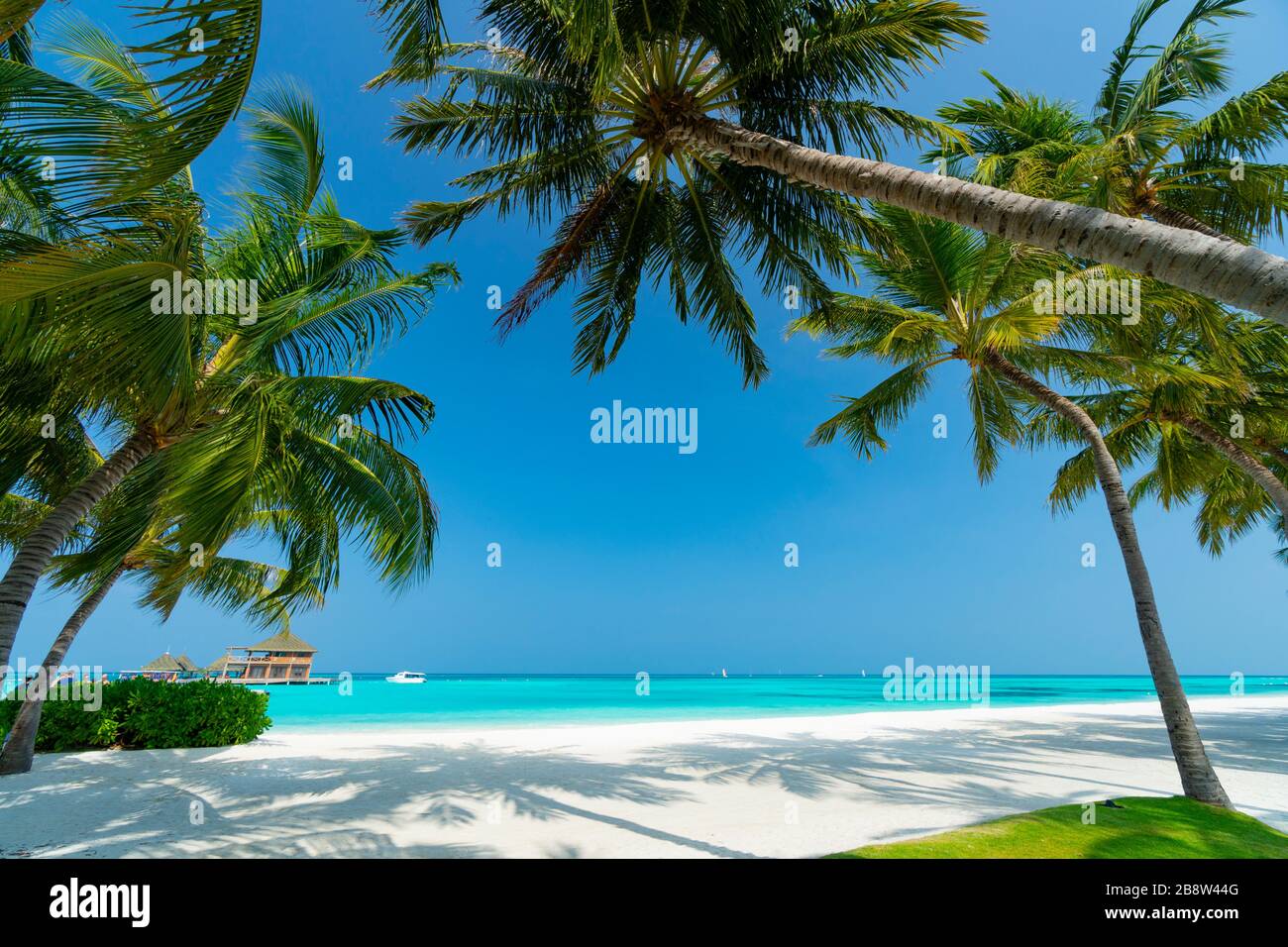 Spiaggia di sabbia di isola tropicale nelle Maldive Foto Stock