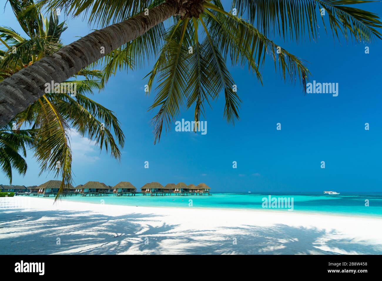 Spiaggia di sabbia di isola tropicale nelle Maldive Foto Stock