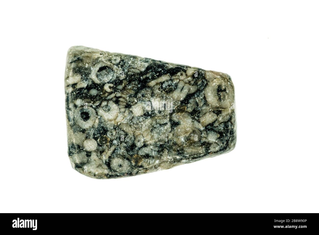 pelle di leopardo jasper, gemstone tagliato su sfondo bianco Foto Stock