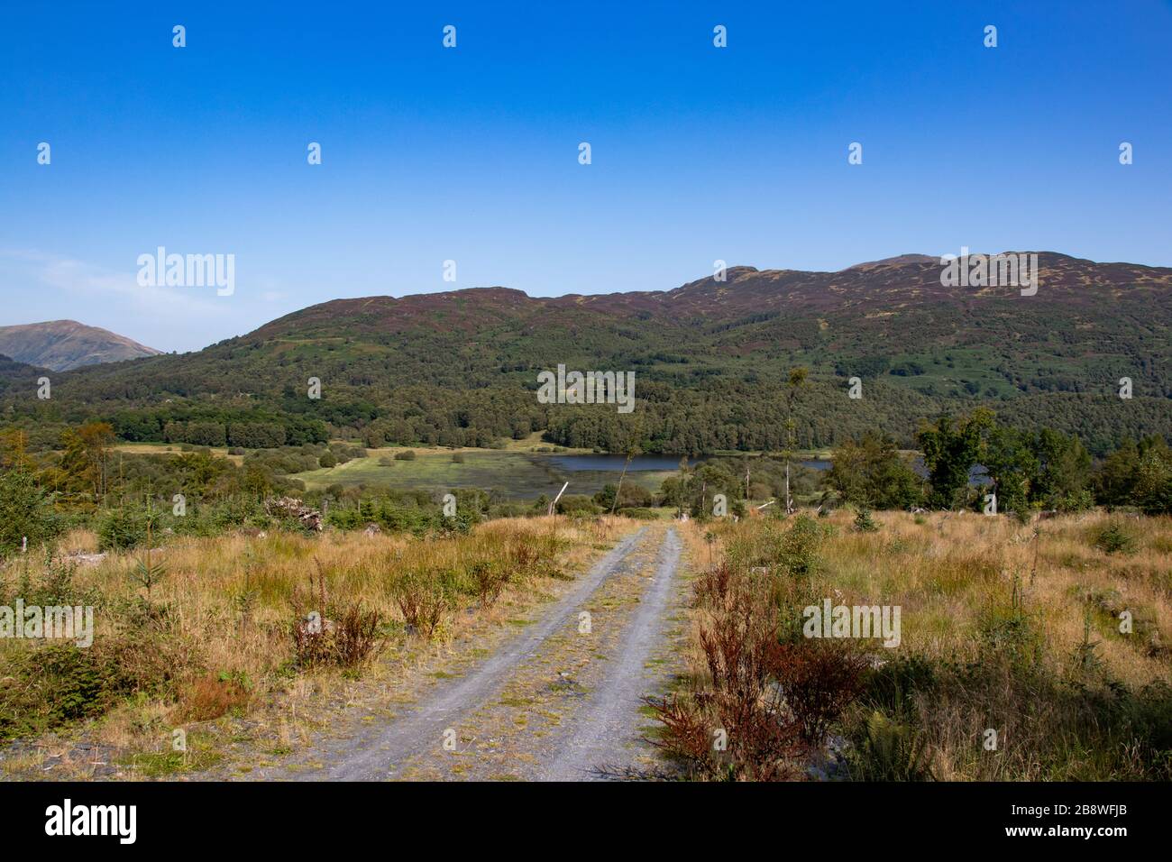 Splendida vista sul Loch Lomond e sul Trossachs Nationalpark nelle Highlands scozzesi Foto Stock