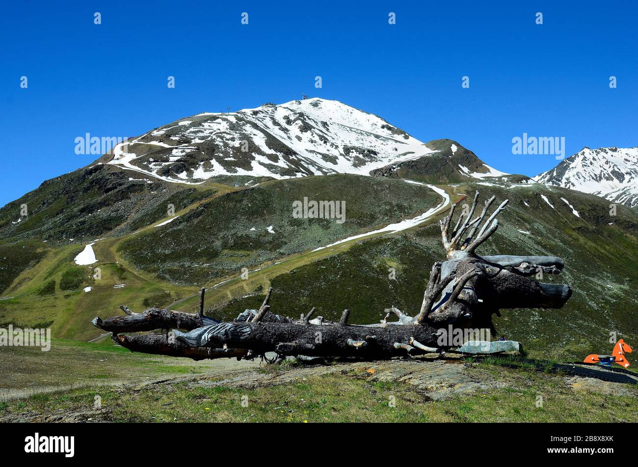 Austria, Tirolo, parco giochi con scultura divertente fatta da un ceppo di alberi nelle Alpi tirolesi Foto Stock