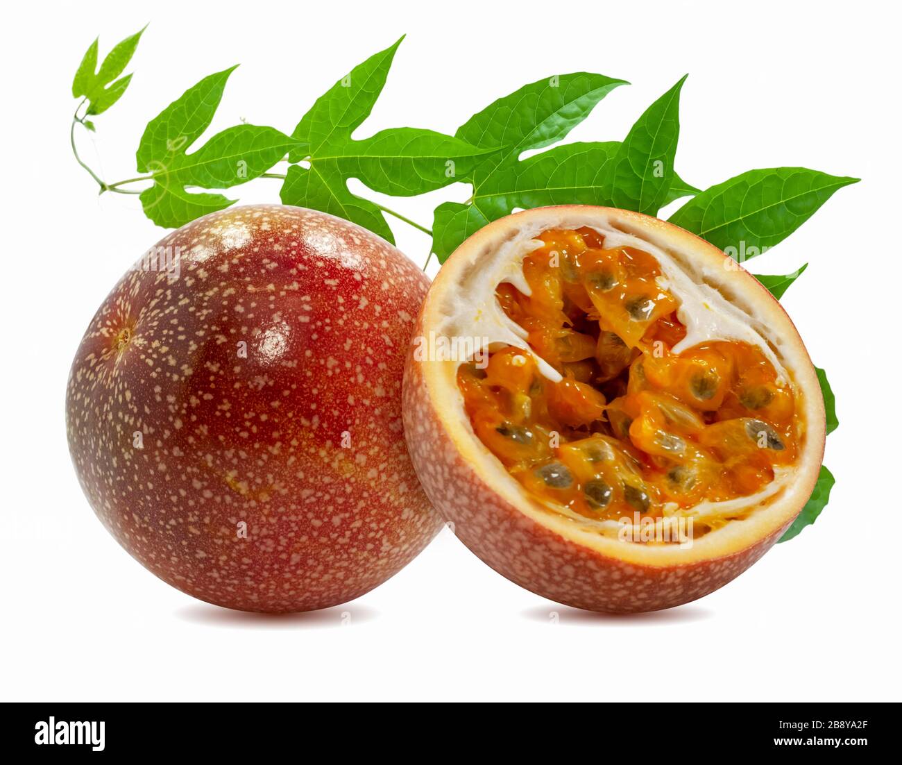 Frutti della passione isolati su sfondo bianco Foto Stock