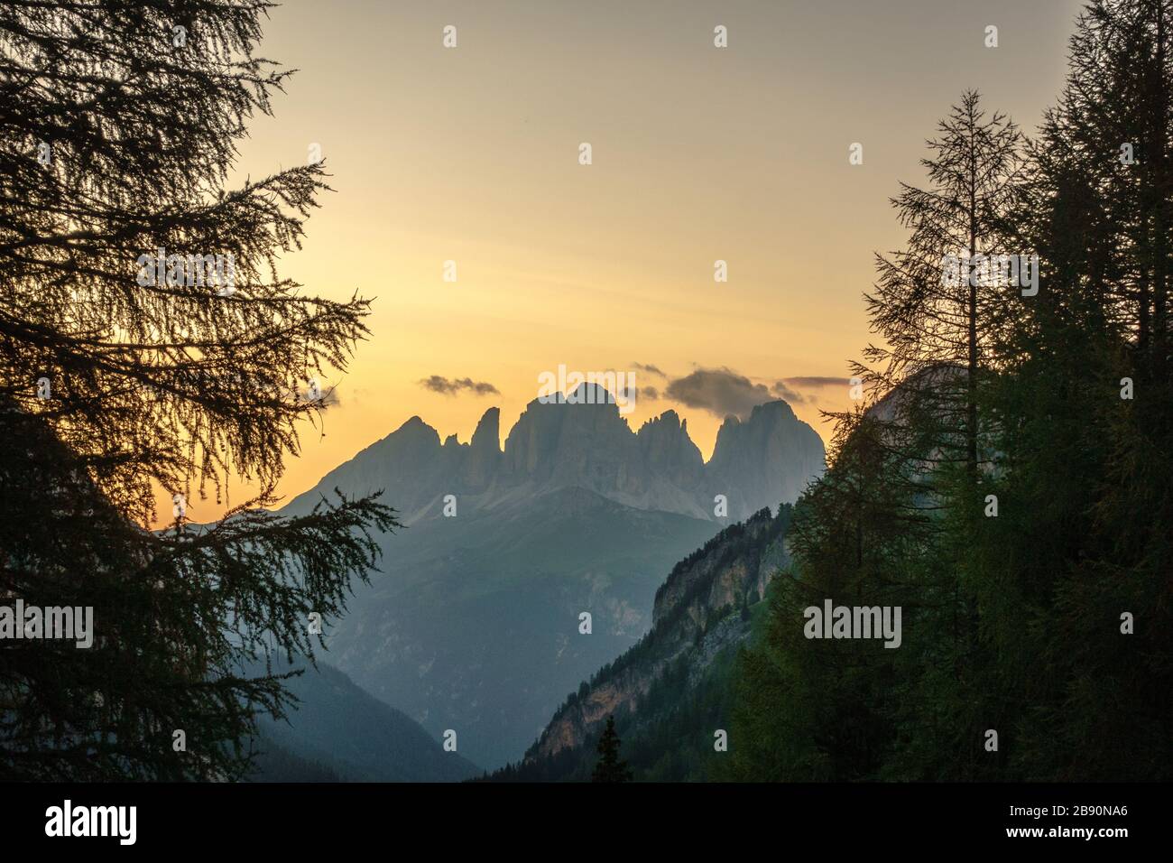 Le cime del gruppo Langkofel/Sassolungo viste in lontananza al crepuscolo attraverso la Val Contrin Foto Stock