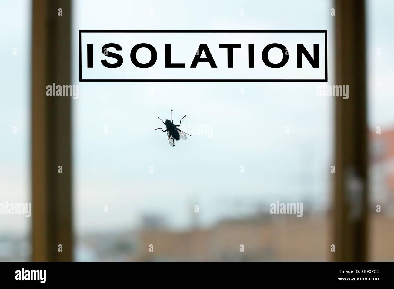 PAROLA D'ISOLAMENTO, silhouette nera della mosca sul vetro della finestra sullo sfondo della città, pandemia di Coronavirus, epidemia di COVID 19, concetto di soggiorno a casa, quarantena Foto Stock