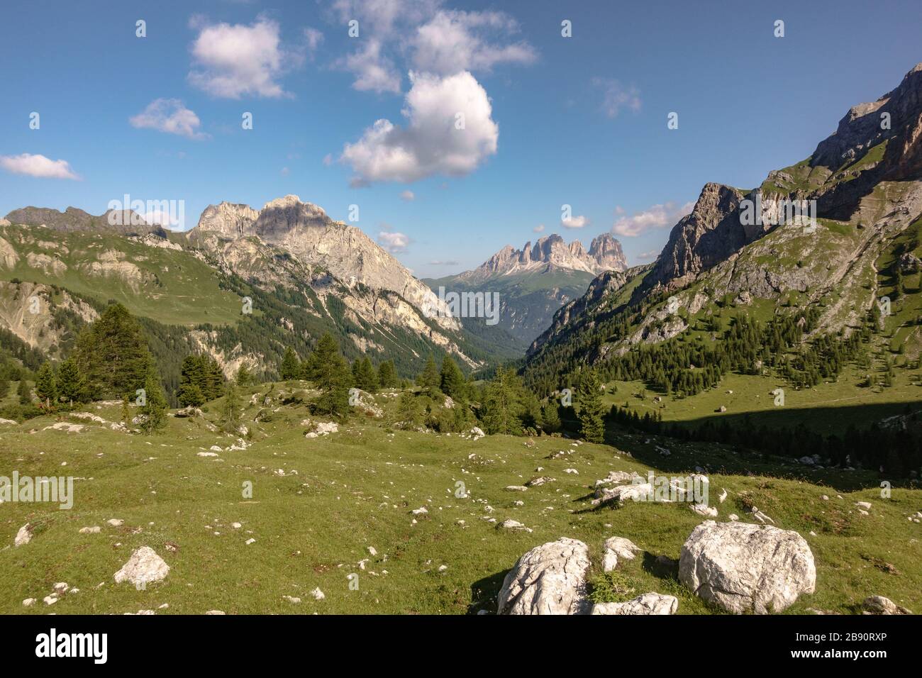 Le vette del Sassolungo / Gruppo Sassoluno visto nella distanza in una giornata di sole attraverso la Val Contrin Foto Stock