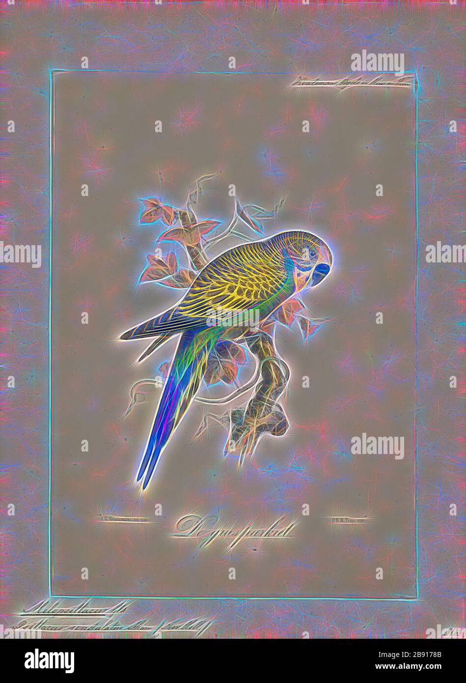 Melopsittacus undulatus, Print, il budgerigar è un pappagallo a lunga coda, che mangia semi di solito soprannominato il budgie, o in inglese americano, il parrocchetto. Le preventivazioni sono le uniche specie del genere Melopsittacus. Naturalmente, la specie è verde e giallo con segni neri, scallosted sulla nuca, sul retro e sulle ali. I budget sono allevati in cattività con colorazione di blues, bianchi, gialli, grigi, e anche con piccole creste. I giovani e i pulcini sono monomorfi, mentre gli adulti sono raccontati a parte dalla loro colorazione della cera, e dal loro comportamento., 1869-1876, Reimagined by Gibon, disegno di calore allegro di Foto Stock