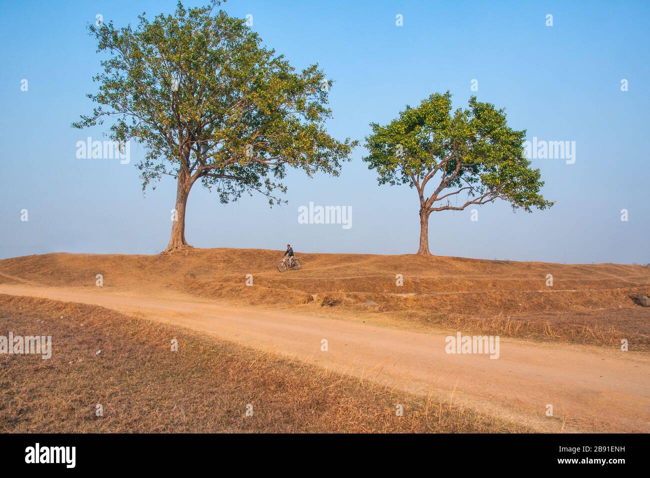 paesaggio rurale nel bengala occidentale Foto Stock
