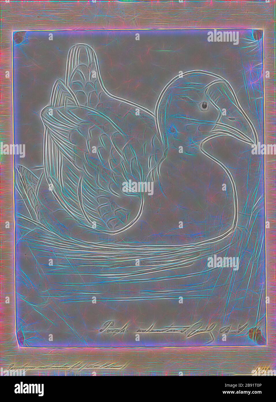 Porphyrio melanotus, Print, il canfano australasiano (Porphyrio melanotus) è una specie di anfano (Porphyrio) che si trova nell'Indonesia orientale (Molucche, Aru e Kai Islands), Papua Nuova Guinea, Australia e Nuova Zelanda. In Nuova Zelanda, è conosciuto come il pukeko (dal Māori pūkeko). La specie era considerata una sottospecie di Swanfen viola., 1850-1883, Reimagined by Gibon, disegno di calore allegro di luminosità e raggi di luce radianza. Arte classica reinventata con un tocco moderno. Fotografia ispirata al futurismo, che abbraccia l'energia dinamica della tecnologia moderna, i movemen Foto Stock
