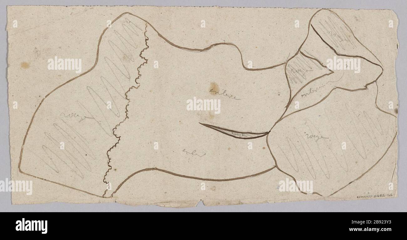 Progetto per una vetrata: Network shot e colori di indicazione dei pezzi di vetro. (Titolo fittizio) Foto Stock