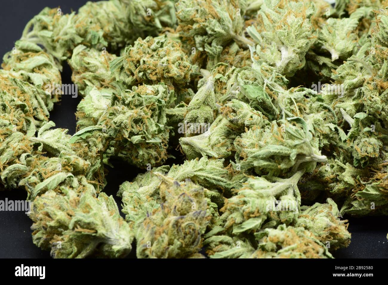 Extreme Close Up di grande quantità densa Marijuana verde con bella tricomi Foto Stock