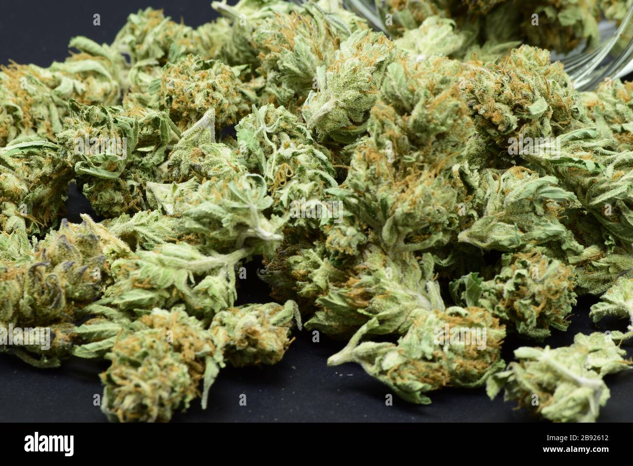 Extreme Close Up di grande quantità densa Marijuana verde con bella tricomi Foto Stock