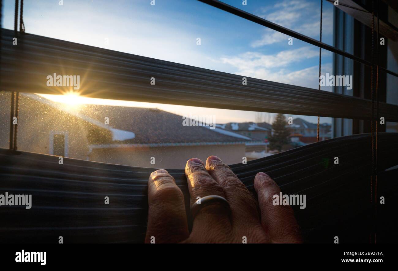 Guardando fuori la finestra attraverso i ciechi, prospettiva della prima persona. Foto Stock