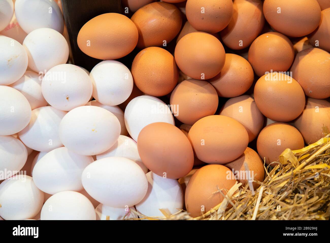 Uova al mercato Mercado de la Boqueria di Rambla, Barcellona Foto Stock