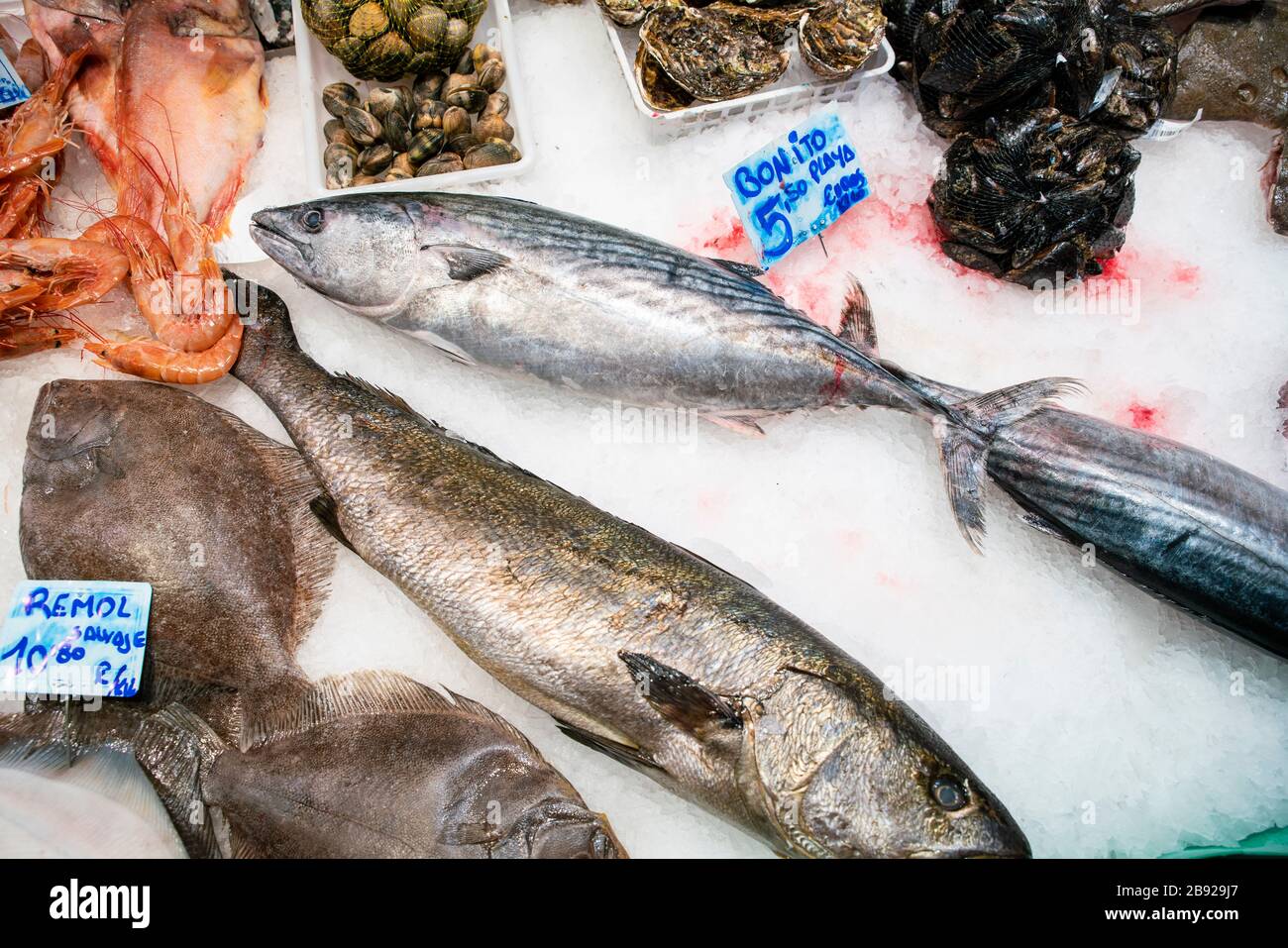 Pesce fresco, ostriche e gamberi al Mercado la Boqueria Market Foto Stock
