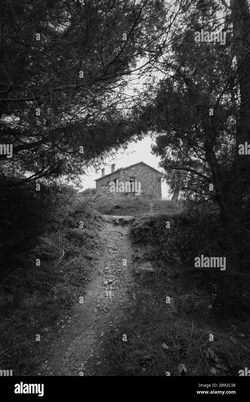 Sentiero forestale che conduce ad una casa abbandonata su una collina. Bianco e nero. Foto Stock