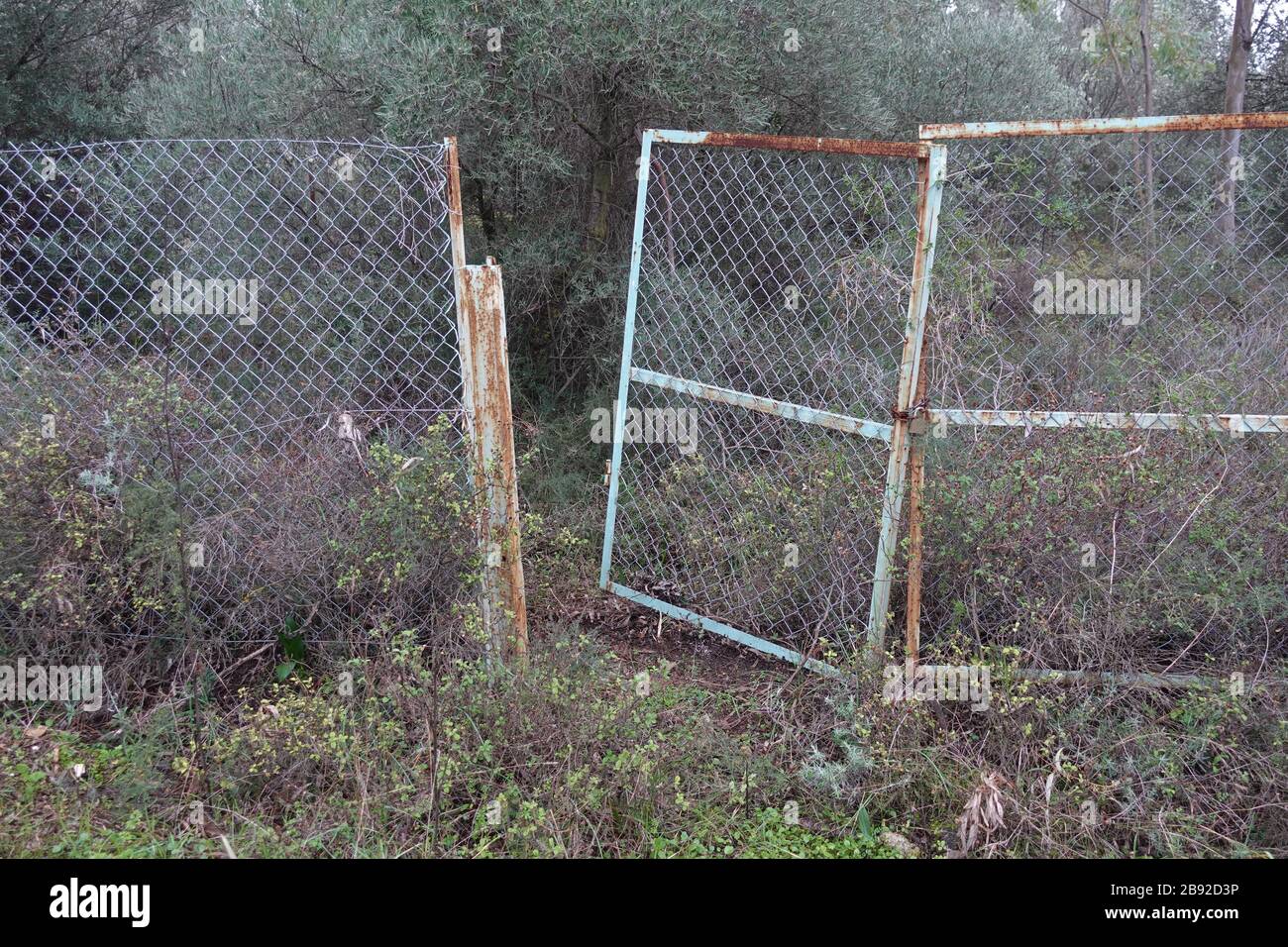 Recinzione arrugginita e cancello intaricato nel bosco. Proprietà rurale. Foto Stock