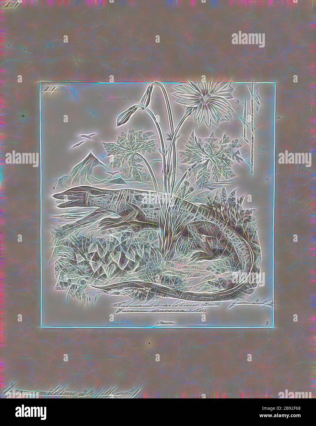 Varanus niloticus, Stampa, il monitor del Nilo (Varanus niloticus) è un grande membro della famiglia di monitor (Varanidae) che si trova in gran parte dell'Africa, ma è assente da ovest, dove è sostituito da Varanus stellatus. Altri nomi comuni includono la lucertola africana del piccolo-grano, leguaan dell'acqua o leguaan del fiume (legan, leguaan e likewaan media monitor lizard in inglese sudafricano e può essere usato in modo intercambiabile)., 1700-1880, Reimagined da Gibon, disegno di calore allegro di luminosità e di radianza dei raggi di luce. Arte classica reinventata con un tocco moderno. Fotografia ispirata a futuri Foto Stock