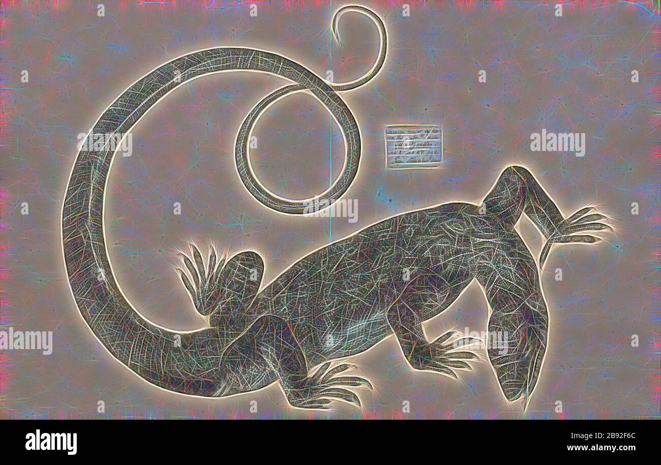 Varanus niloticus, Stampa, il monitor del Nilo (Varanus niloticus) è un grande membro della famiglia di monitor (Varanidae) che si trova in gran parte dell'Africa, ma è assente da ovest, dove è sostituito da Varanus stellatus. Altri nomi comuni includono la lucertola africana del piccolo-grano, leguaan dell'acqua o leguaan del fiume (legan, leguaan e likewaan media monitor lizard in inglese sudafricano e può essere usato in modo intercambiabile)., 1700-1880, Reimagined da Gibon, disegno di calore allegro di luminosità e di radianza dei raggi di luce. Arte classica reinventata con un tocco moderno. Fotografia ispirata a futuri Foto Stock