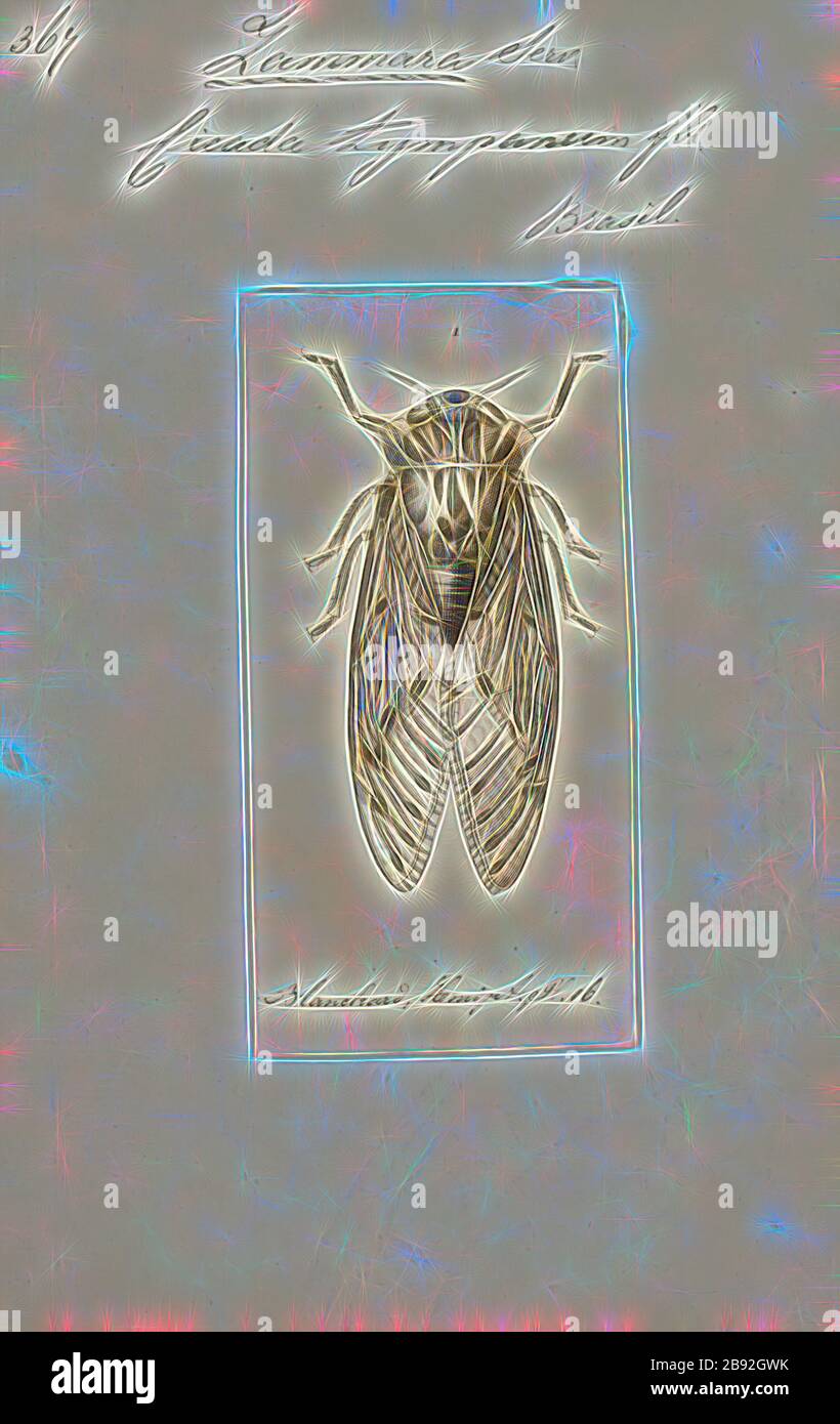 Zammara, Print, Zammara è un genere di cicale. Queste specie sono cicale grandi che sono generalmente blu-verde brillante nel colore. Come altre cicale, queste possono produrre chiamate forti, Zammara tympanum, per esempio, fa un ronzio di tensione in su-come pulsante. Zammara si trova nei Neotropici, soprattutto nelle regioni equatoriali, dove vivono in habitat forestali tropicali. Il genere è caratterizzato da tarsi (i piedi dell'insetto) che sono divisi in 2 segmenti, o tarsomeri, altri generi nella tribù hanno 3 tarsomeri in ogni tarso., Reimagined da Gibon, disegno di calore allegro di luminosità Foto Stock Zammara, Print, Zammara è un genere di cicale. Queste specie sono cicale grandi che sono generalmente blu-verde brillante nel colore. Come altre cicale, queste possono produrre chiamate forti, Zammara tympanum, per esempio, fa un ronzio di tensione in su-come pulsante. Zammara si trova nei Neotropici, soprattutto nelle regioni equatoriali, dove vivono in habitat forestali tropicali. Il genere è caratterizzato da tarsi (i piedi dell'insetto) che sono divisi in 2 segmenti, o tarsomeri, altri generi nella tribù hanno 3 tarsomeri in ogni tarso., Reimagined da Gibon, disegno di calore allegro di luminosità Foto Stock