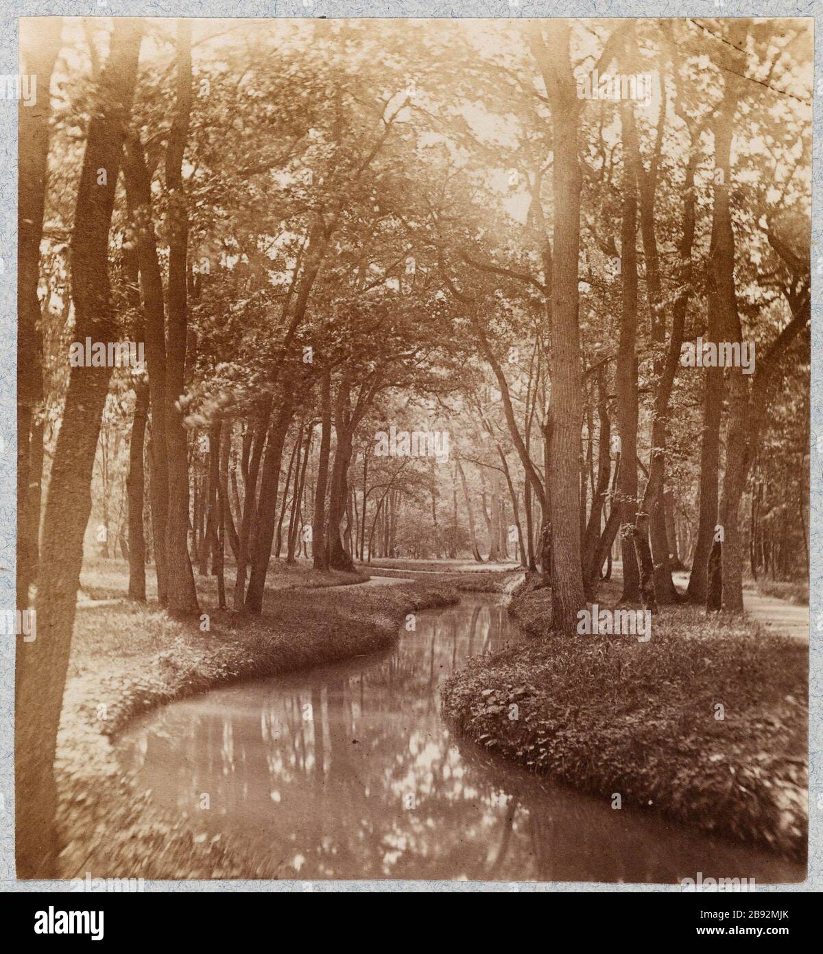 Torrenti in sottobosco Cours d'eau dans un sous-bois. Anonima fotographie. Tirage sur papier albuminé. Parigi, musée Carnavalet. Parigi, musée Carnavalet. Foto Stock