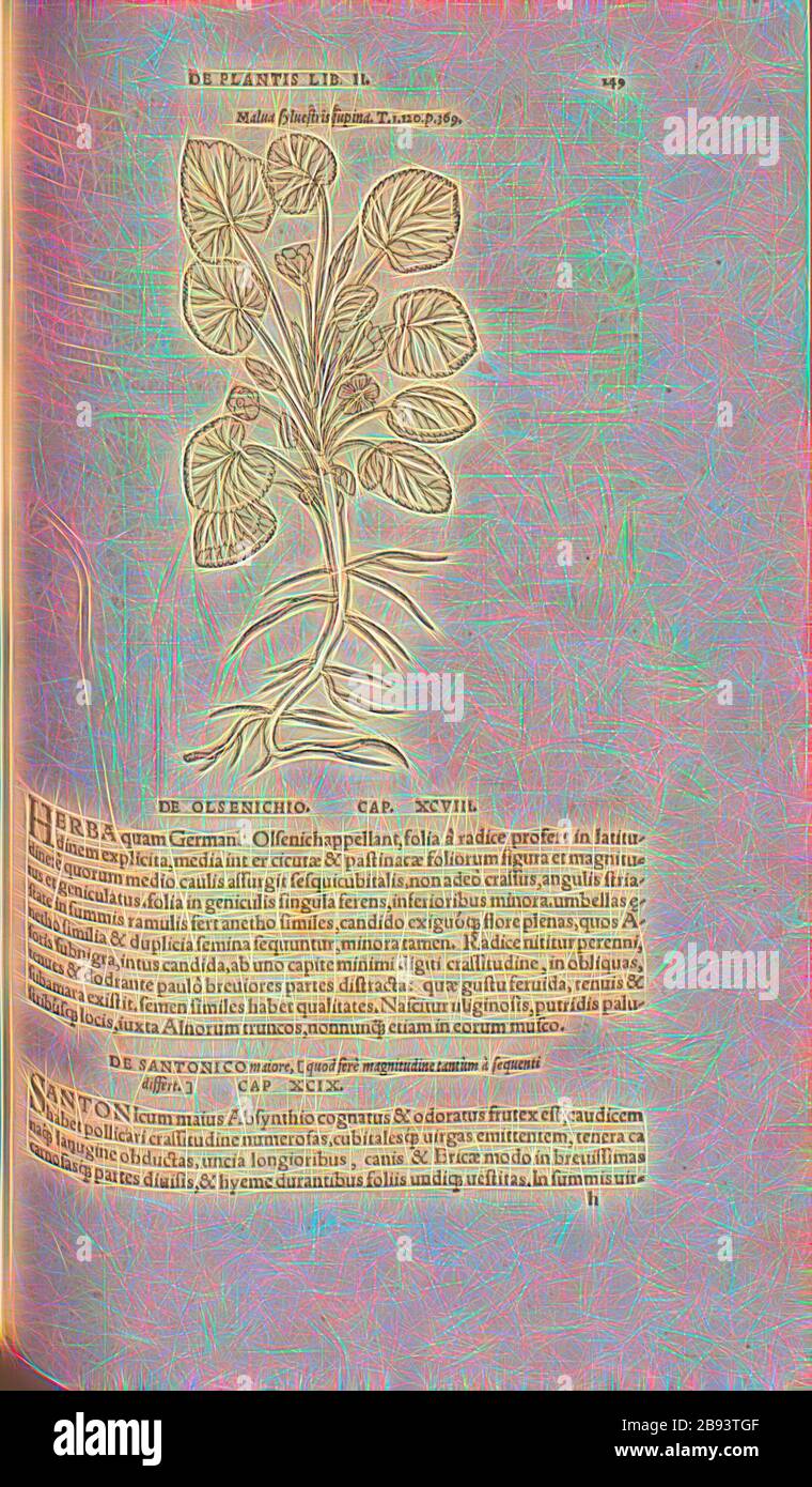 Malva supina, illustrazione di un dipinto del 16th secolo, Fig. 116, p. 149r, 1561, Valerius Cordus, Konrad Gessner, Benedictus Aretius, Pedanius Dioscorides: In hoc volumine continentur Valerii cordi Simesusii annotationes in Pedacii Dioscoridis Anazarbei de medica materia bibliocs V. [...]. Argentorati: Excudebat Josias Rielius 1561, Reimagined by Gibon, disegno di caldo allegro di luminosità e di raggi di luce radianza. Arte classica reinventata con un tocco moderno. La fotografia ispirata al futurismo, che abbraccia l'energia dinamica della tecnologia moderna, del movimento, della velocità e rivoluziona il cultu Foto Stock