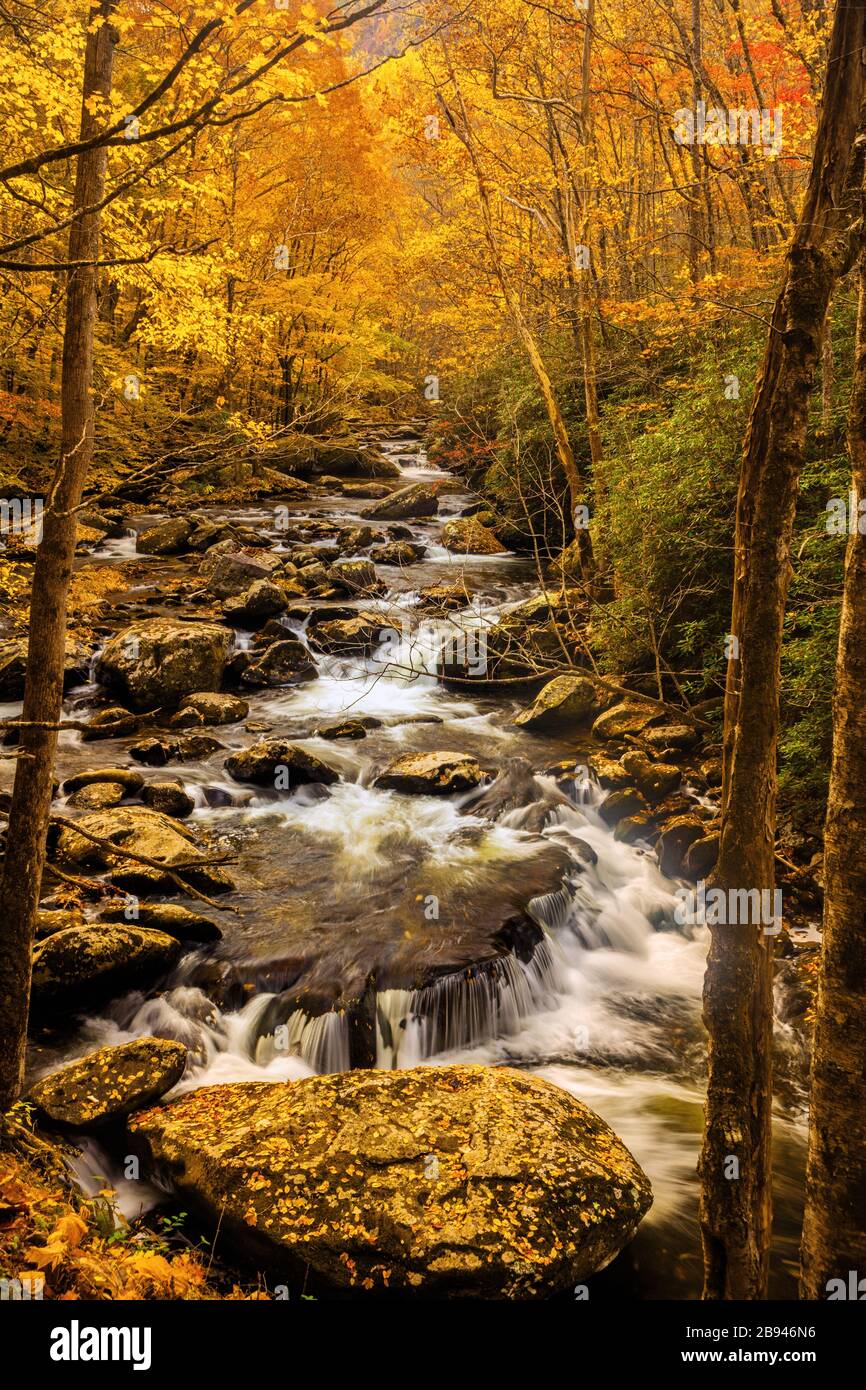 Smoky Mountain Stream in autunno Foto Stock