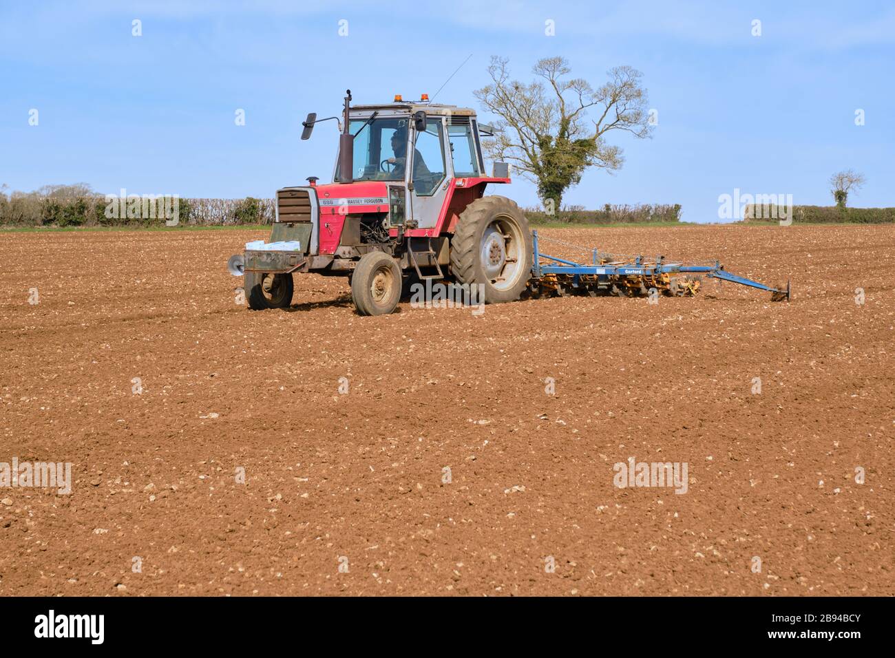 Trattore Massey Ferguson 698 che trivella piantando barbabietole da zucchero con una seminatrice di precisione Kleine Unicorn 3 su terreni agricoli a marzo Foto Stock Trattore Massey Ferguson 698 che trivella piantando barbabietole da zucchero con una seminatrice di precisione Kleine Unicorn 3 su terreni agricoli a marzo Foto Stock
