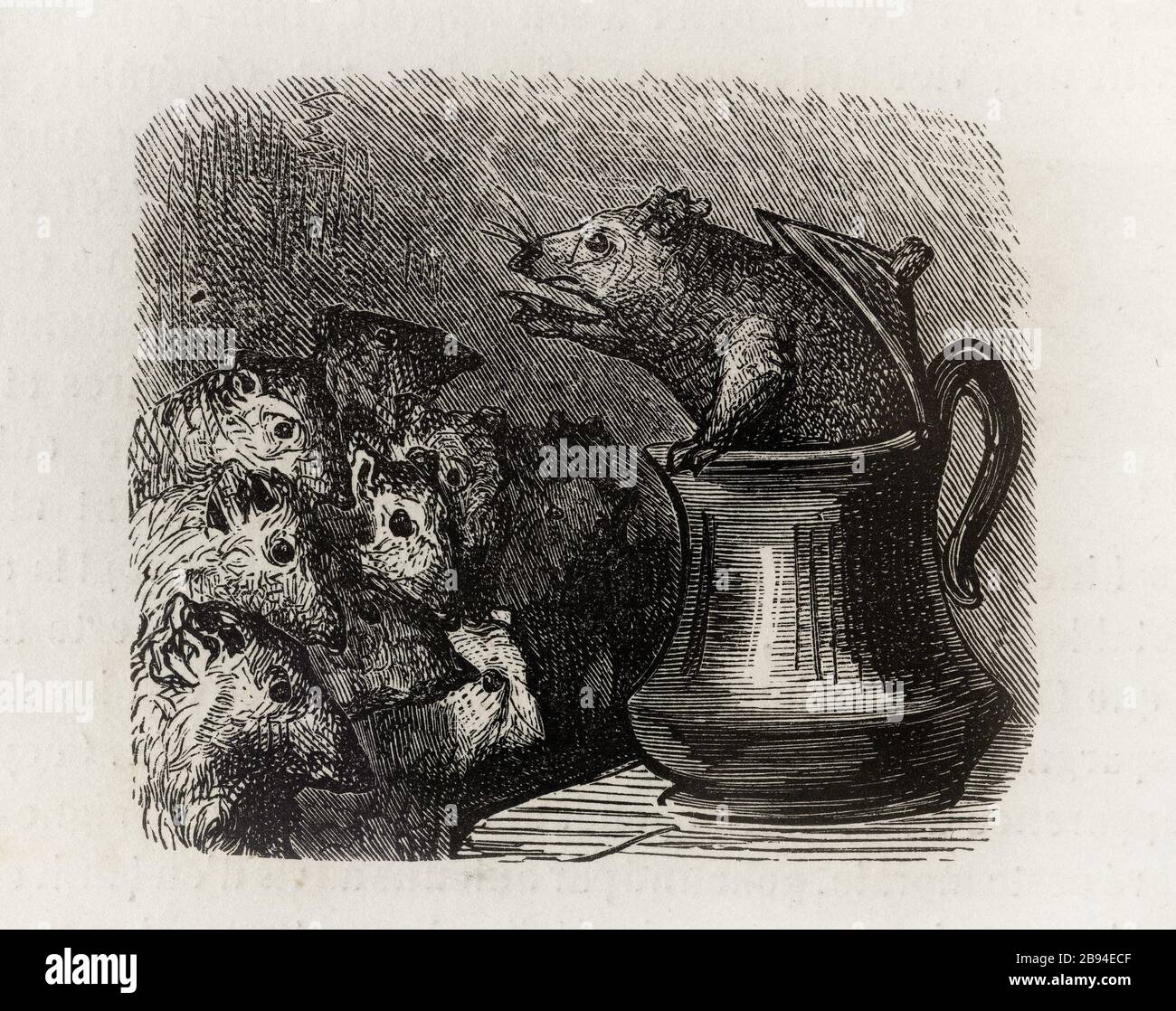 Il harangue. Illustrazione per Honoré de Balzac, The Tales comical, Parigi: General Society Library, 1855 (rating: R8 ° Cc1405) Gustave Doré (1832-1883), dessinateur et Eugène Pred'homme (1813-1886), graveur. "La harangue." Illustrazione pour Honoré de Balzac, 'Les Contes drolatiques', Parigi : Société générale de librairie, 1855'. Gravure sur bois. Parigi, Maison de Balzac. Foto Stock