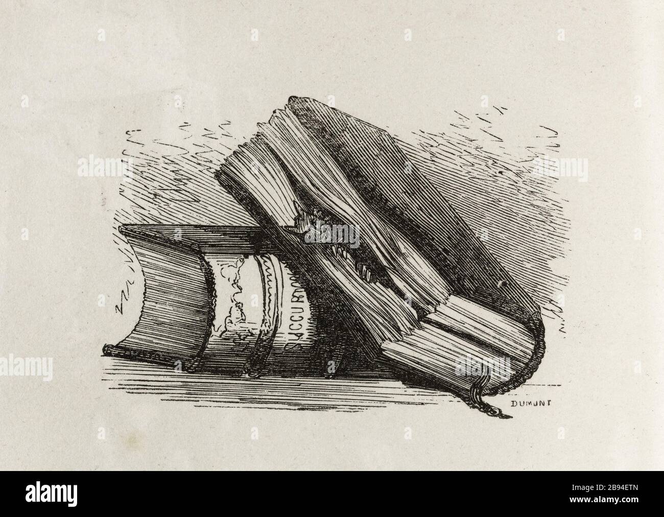 Il demone. Illustrazione per Honoré de Balzac, The Tales comical, Parigi: General Society Library, 1855 (rating: R8 ° Cc1405) Gustave Doré (1832-1883), dessinateur et Jean Gauchard (1825-1872), graveur. "Le démon." Illustrazione pour Honoré de Balzac, 'Les Contes drolatiques', Parigi : Société générale de librairie, 1855'. Gravure sur bois. Parigi, Maison de Balzac. Foto Stock