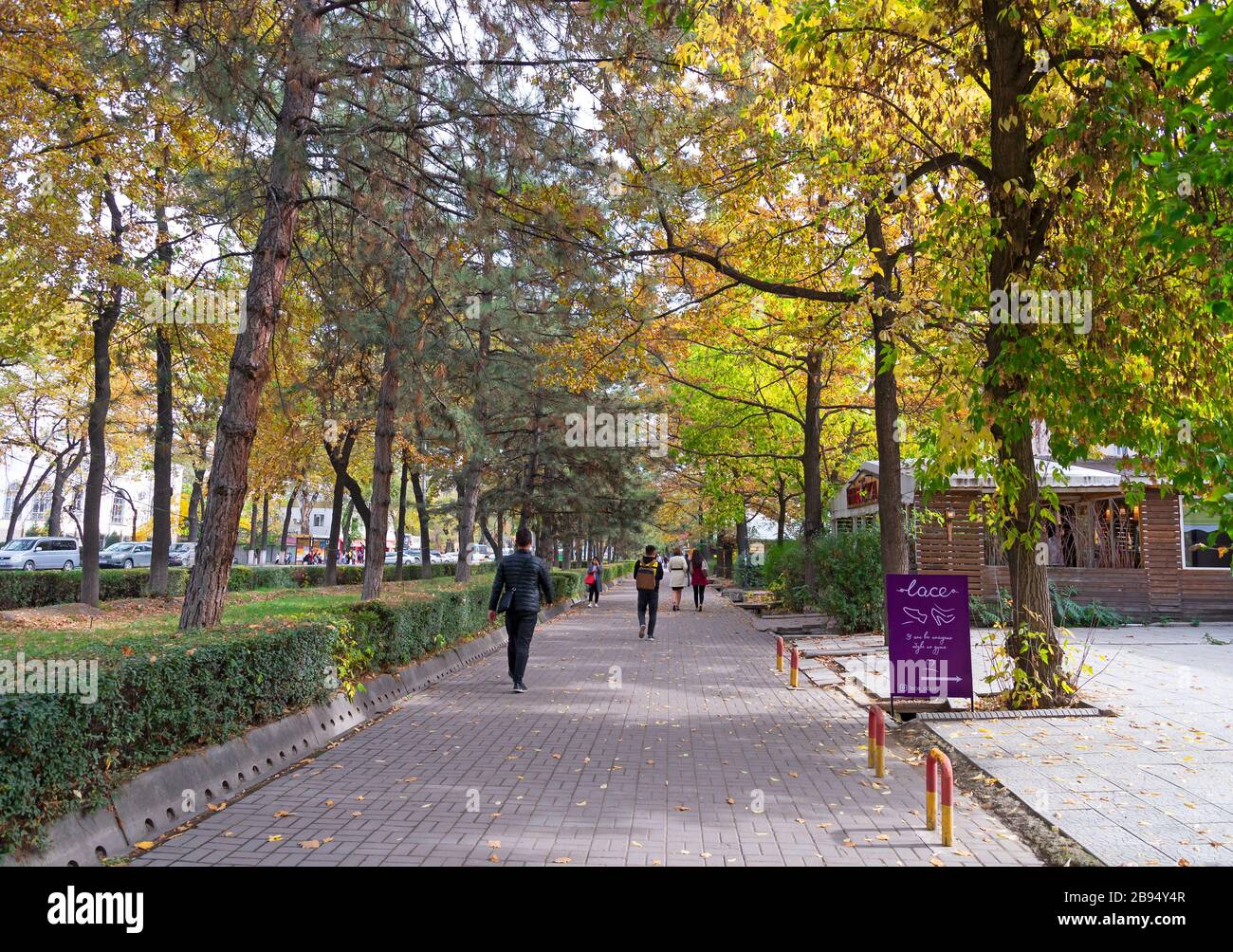 Marciapiede con alberi multipli Bishkek, Kirghizistan. Curbside con molta vegetazione con fogliame di stagione autunnale. I locali del Kirghizistan camminano in un sentiero. Foto Stock