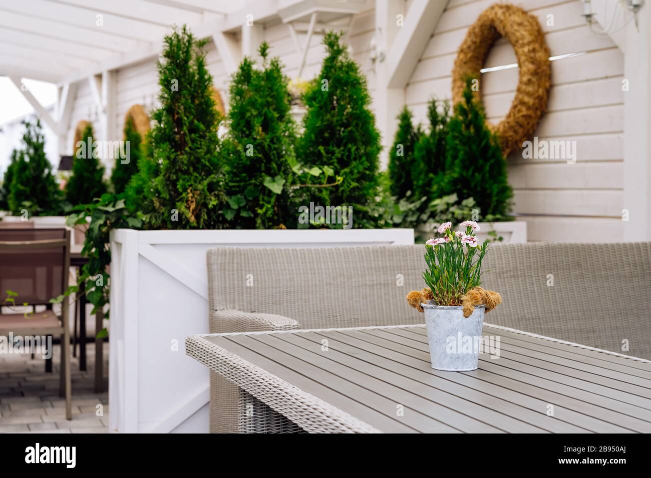 Fuoco selettivo sui fiori in una pentola della lattina sul tavolo del giardino, patio di stile vintage Foto Stock