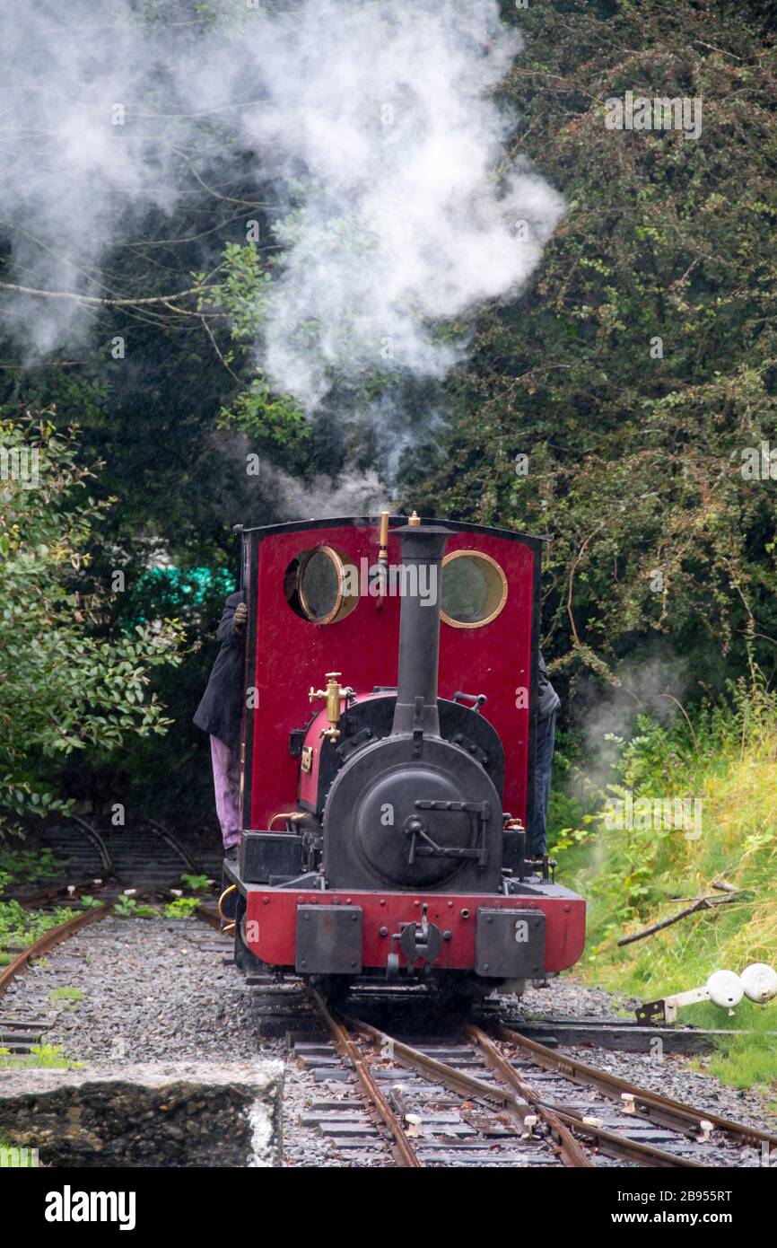 Motore a vapore a scartamento ridotto, 'Marion Marion', costruito nel 1903, presso la Bala Lake Railway, Bala, Gwynedd, Galles Foto Stock