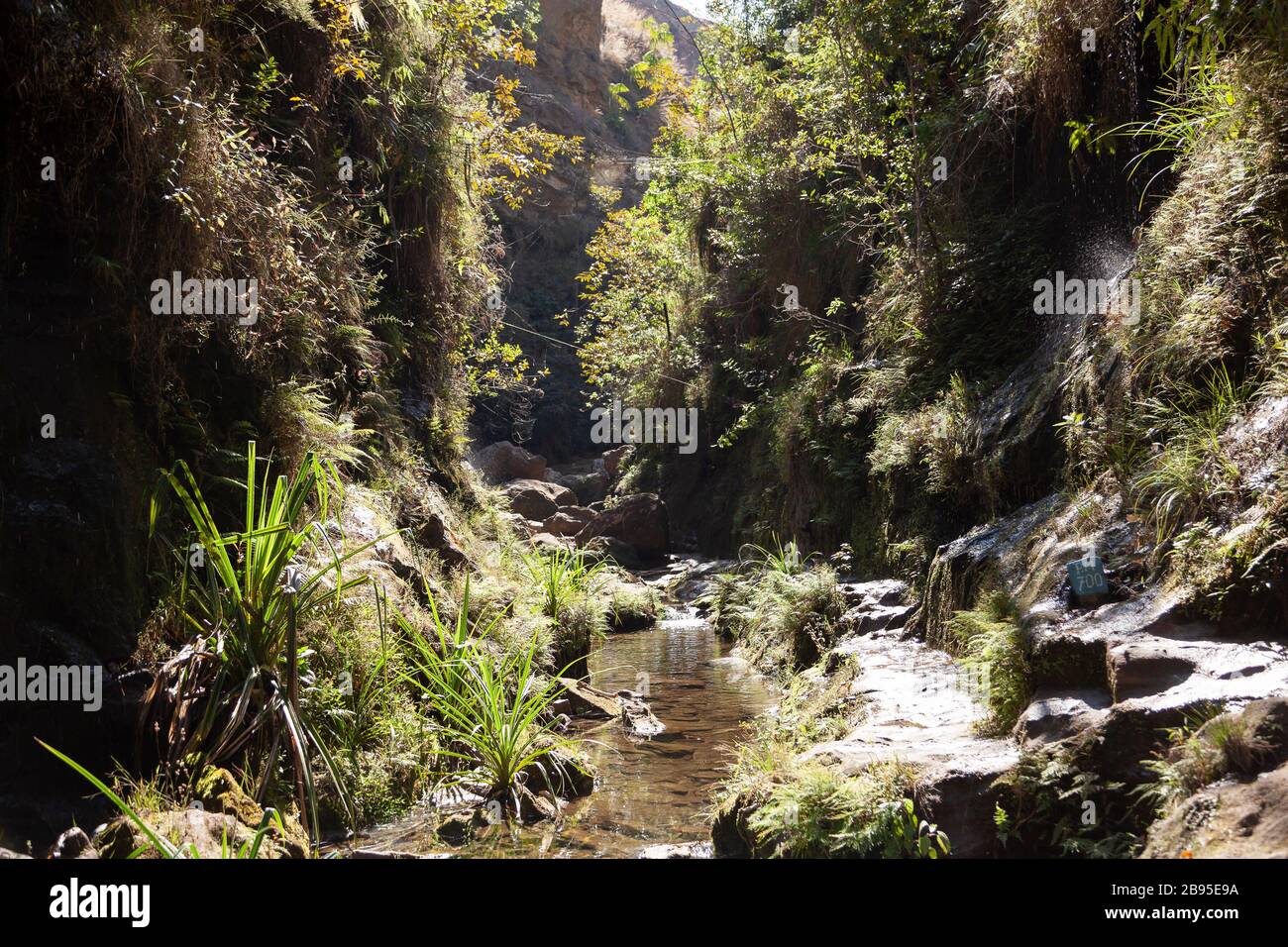 Madagascar - 23 fa, 9 sett 2019 Foto Stock