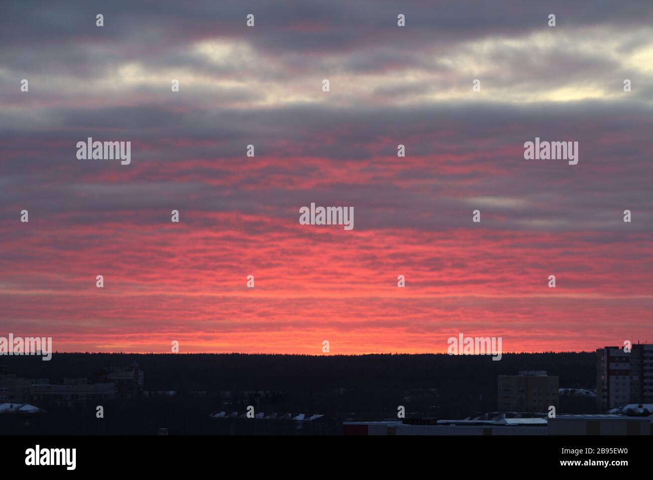 Tramonto a scarlatto o alba sull'orizzonte. Nuvole rosa illuminate dal sole sull'orizzonte. Foto Stock
