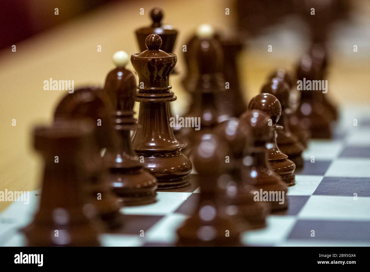 Pezzi di scacchi sulla tavola pronti per giocare Foto Stock