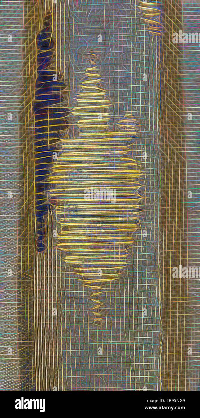 Tiger, Nishimura Goun (giapponese, 1877-1938), Meiji, 1877-1938, inchiostro, colore e oro su seta, 50-3/4 x 16-1/2 in. (immagine) 84-1/2 x 24 in. (In generale), firmato: Goun Sigillo: Goun, Arte Asiatica, Reimagined by Gibon, disegno di calore allegro di luminosità e raggi di luce radianza. Arte classica reinventata con un tocco moderno. La fotografia ispirata al futurismo, che abbraccia l'energia dinamica della tecnologia moderna, del movimento, della velocità e rivoluziona la cultura. Foto Stock