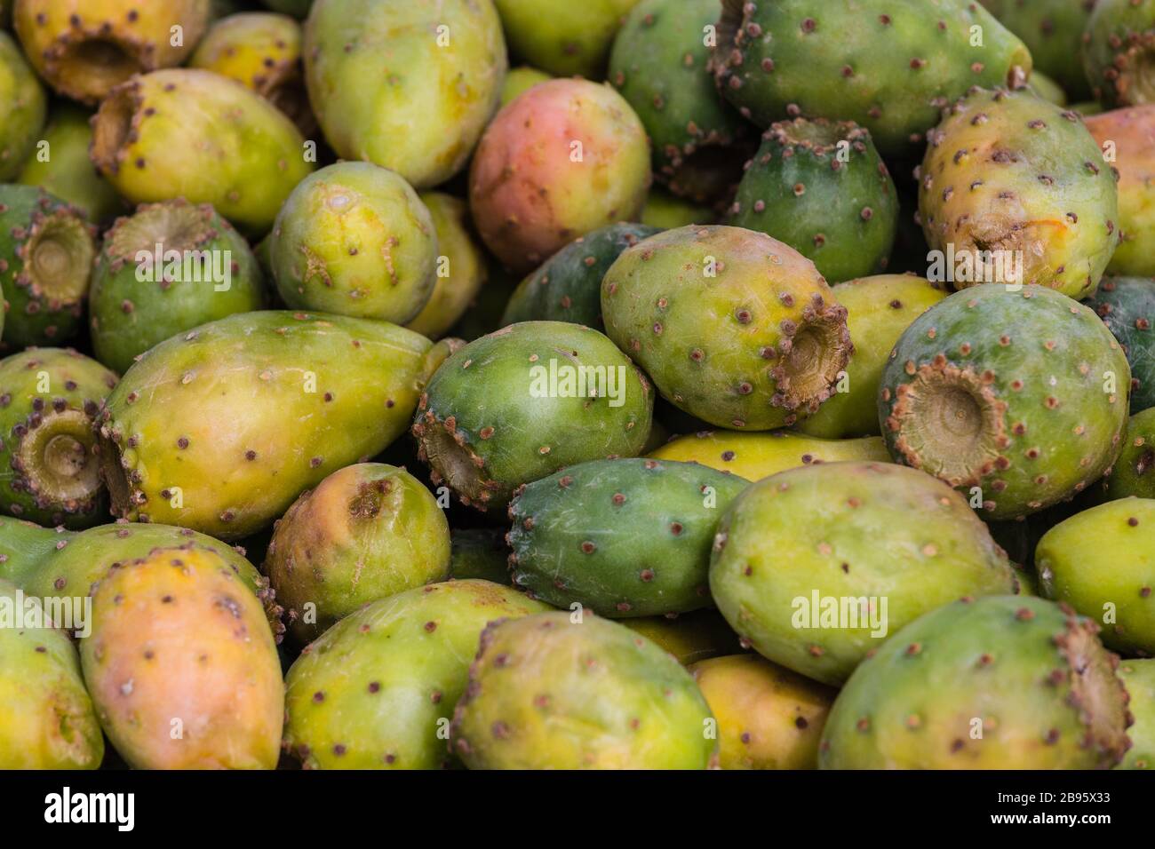 Primo piano della tradizionale pera di ricciola (Opuntia ficus-indica) dell'isola di Madeira in un mercato della città di Funchal, Portogallo Foto Stock