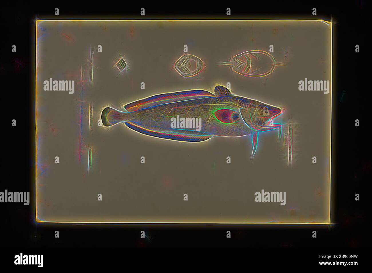 Stampa a colori litografica di una roccia biarded Cod, Pseudophycis barbata di Port Phillip, di Arthur Bartholmew, prova litografica D di una roccia biarded Cod, Pseudophicis barbata di Arthur Bartholomew, pubblicata come lastra 20 nel Prodromus della Zoologia di Victoria di Frederick McCoy, Reimagined di Gibon, design di calore allegro di luminosità e raggi di luce radianza. Arte classica reinventata con un tocco moderno. La fotografia ispirata al futurismo, che abbraccia l'energia dinamica della tecnologia moderna, del movimento, della velocità e rivoluziona la cultura. Foto Stock