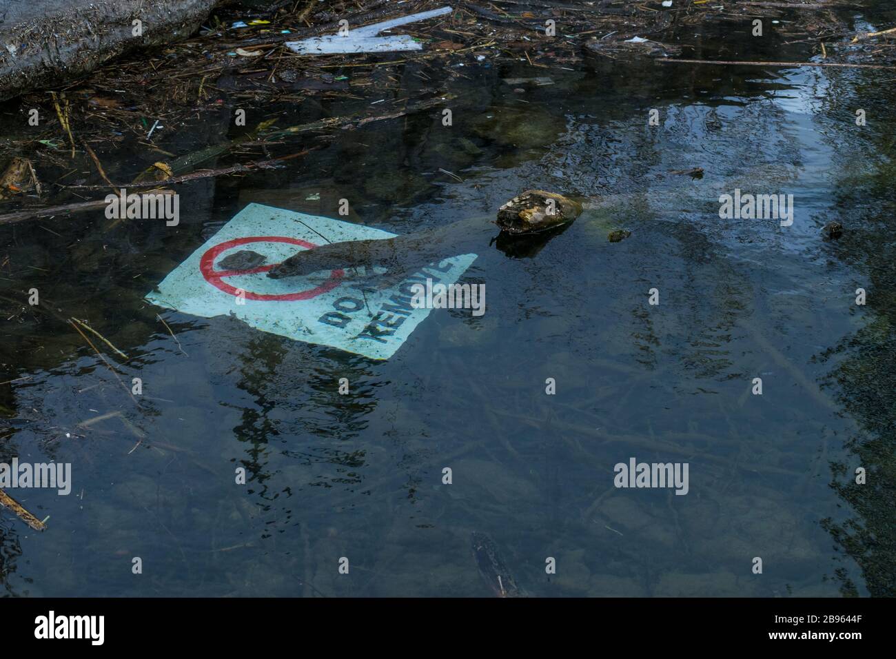 Plastica e altro inquinamento, il litorale del lago Ontario Foto Stock