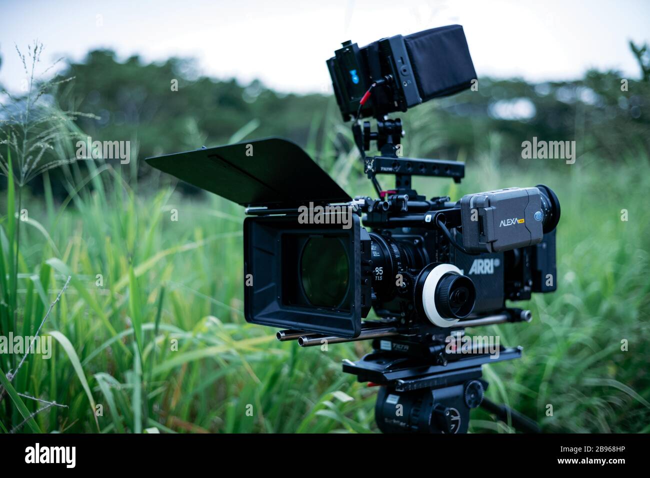 Fotocamera digitale con movimento professionale Arri Alexa con scatola opaca e follow focus su un treppiede con erba verde sullo sfondo Foto Stock