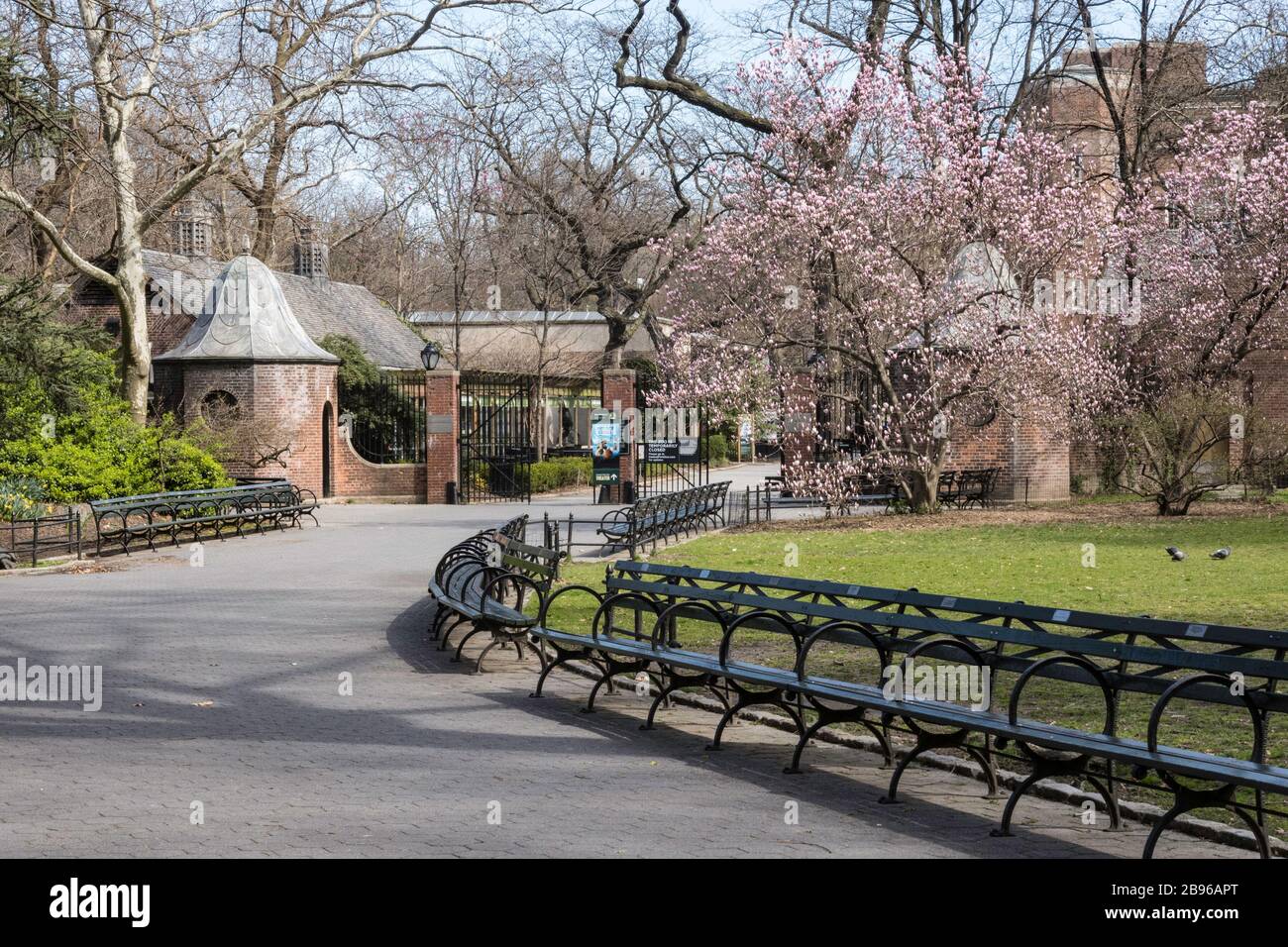 Central Park è quasi deserta a causa della pandemia COVID-19, marzo 2020, New York City, USA Foto Stock