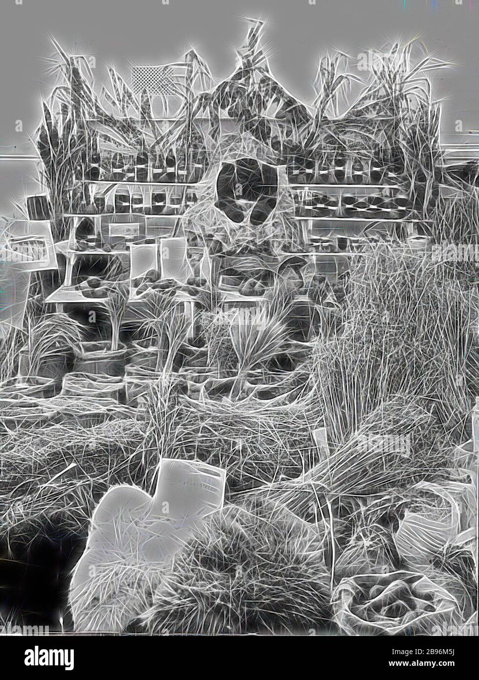 Negativo - Mostra di produzione, Royal Melbourne Show, Flemington, Victoria, 1914, la 1st mostra del quartiere dei premi al 1914 Royal Melbourne Show. Tutti i prodotti mostrati sono stati prodotti nella fattoria 'Boxdale' di Nhill. La fotografia visibile a sinistra della mostra è stata scattata e sviluppata da James Batson., Reimagined da Gibon, disegno di calore allegro di luminosità e raggi di luce radianza. Arte classica reinventata con un tocco moderno. La fotografia ispirata al futurismo, che abbraccia l'energia dinamica della tecnologia moderna, del movimento, della velocità e rivoluziona la cultura. Foto Stock