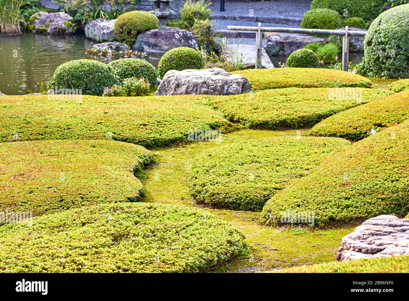 Bella forma in un giardino in stile giapponese Foto Stock