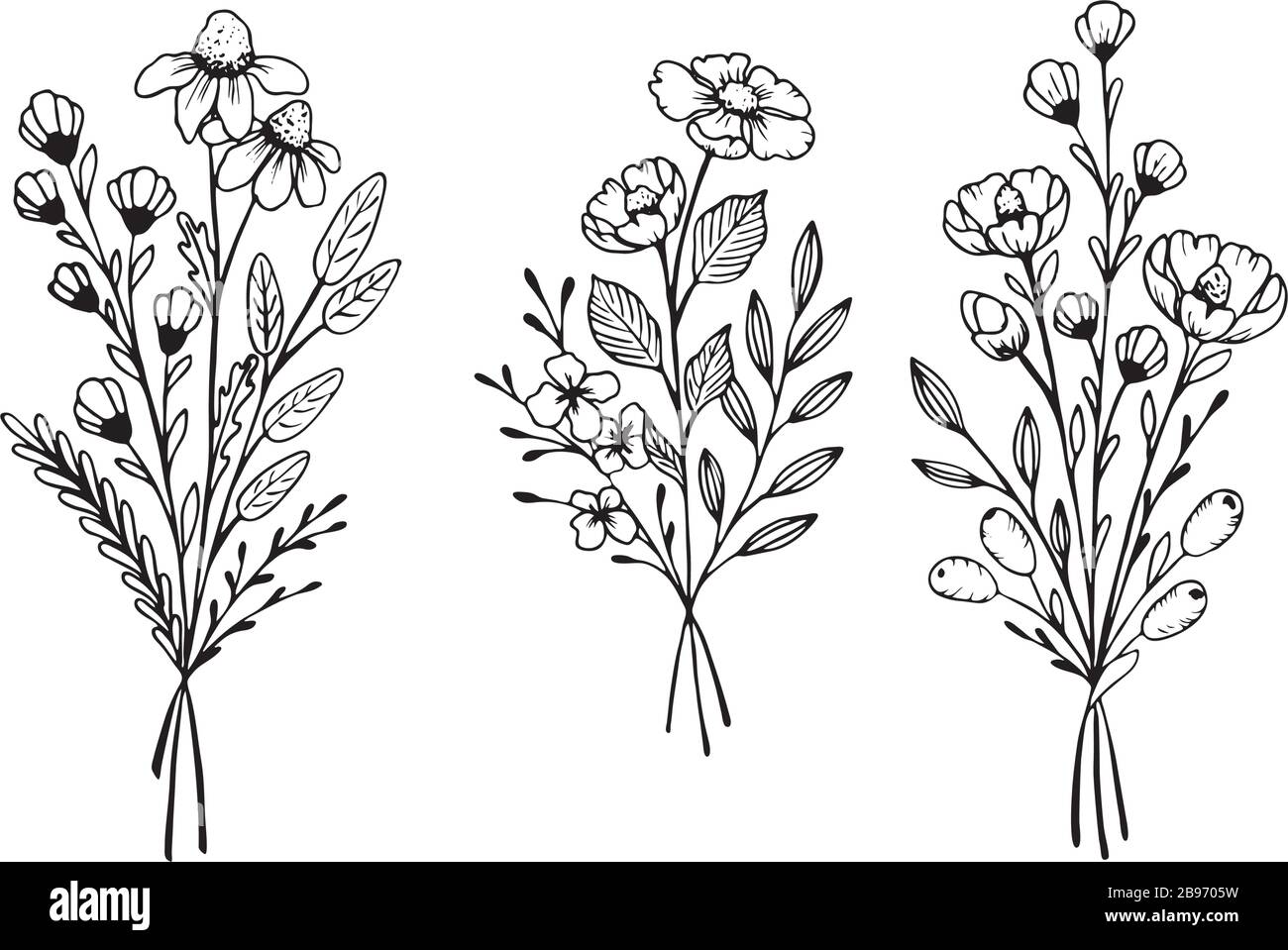 Insieme di elementi vettoriali disegnati a mano per il progetto. Foglie, vortici, elementi floreali. Illustrazione Vettoriale