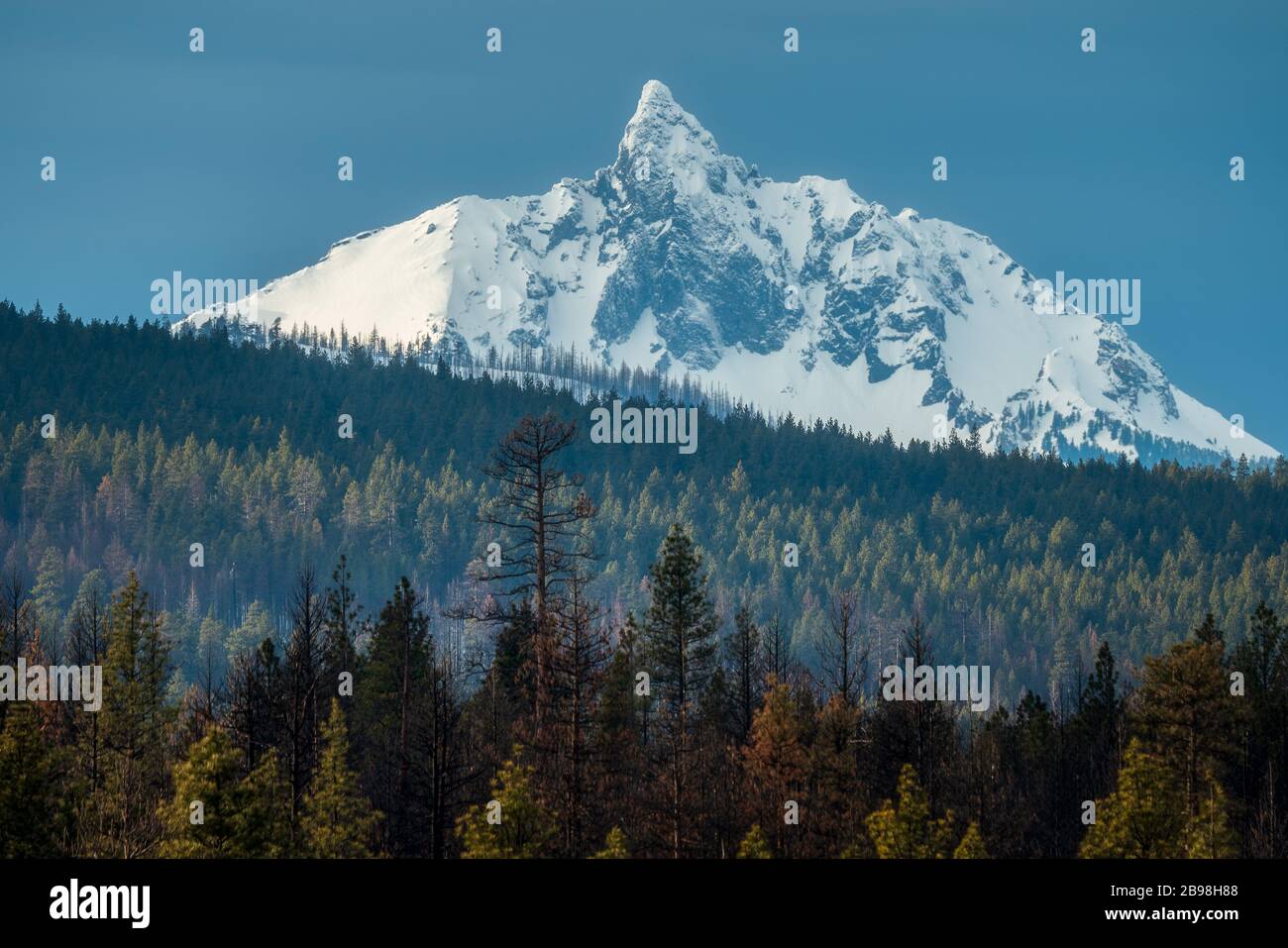Montagna in Oregon a Mt Washington Foto Stock