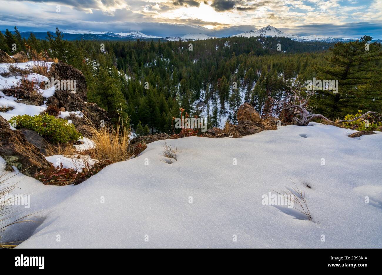 Montagne in Oregon a Three Sisters Wilderness Foto Stock